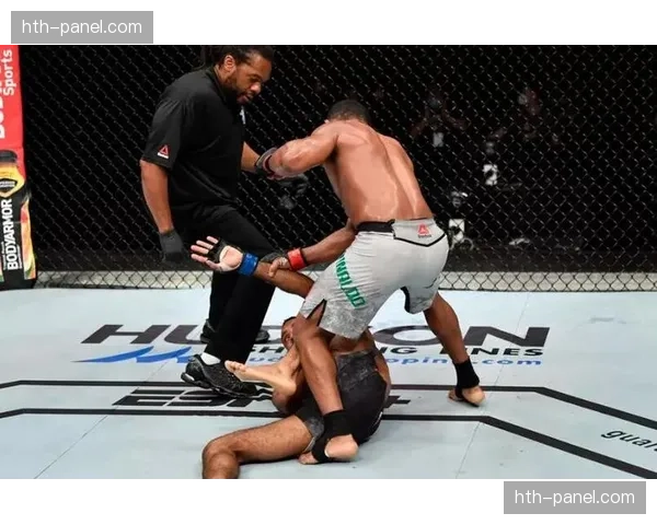 特写：传奇裁判赫布·迪恩的最后一站，在UFC安卡拉平静谢幕